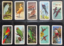 29/48 Brooke Bond USA Tea Cards Tropical Birds