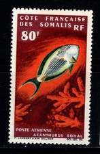 Gibuti, Somalia francese 1967 Mi. 383 Nuovo ** 100% Posta Aerea 100 fr, pesce