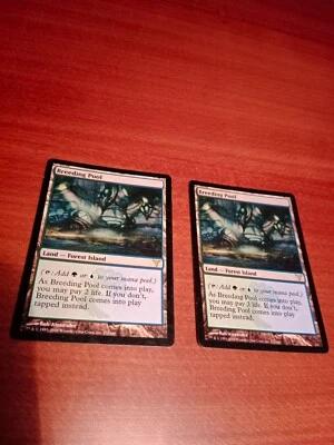 MTG NM Breeding Pool Dissension English - Image 1 of 2