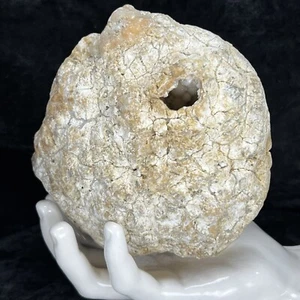 Large Unopened Geode 5” Golden Crystal Botryoidal Milky Quartz 3.4Lb Natural - Picture 1 of 10