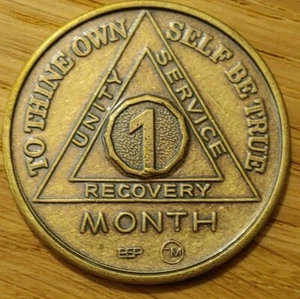 1 Month Alcoholics Anonymous AA Bronze Medallion Coin Sobriety Chip One - Picture 1 of 2