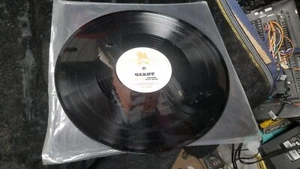 GIANT Rocker Rain Mind 12" Vinyl Record Dub Police Import - Imagen 1 de 2