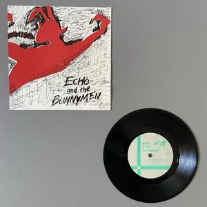 Echo And The Bunnymen The Pictures On My Wall 1979 1st Press 7" Vinyl Single - Imagen 1 de 3