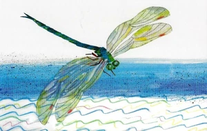 Postcard Eric Carle "Dragonfly" Illus from 'The Very Quiet Cricket' (1990) MINT - Picture 1 of 1