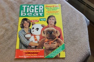 1977 (Dec.) Tiger Beat teen magazine (Shaun Cassidy, Leif Erickson cover) - Picture 1 of 3