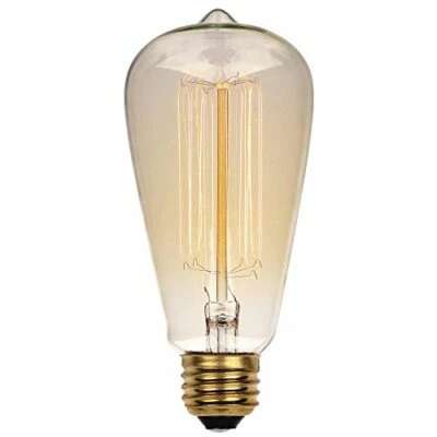 Westinghouse 0413200 - 60 Watt ST20 Timeless Vintage Inspired Bulb - Image 1 of 4