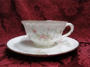 Pope Gosser New Princess 3034, Pink Rose Rim & Center: Cup & Saucer Set (s) - Picture 1 of 5