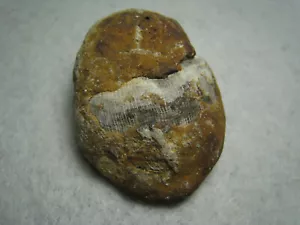 Espécimen de roca de piedra fósil muy desgastado de Ancimt 58,6 gramos - Imagen 1 de 19