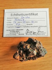 lotto n°4 meteoriti:pallasite 60g, NWA 869 24g, Campo cielo 50g, JAH073 60g