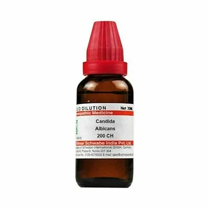 Dr Willmar Schwabe India Candida Albicans 200 CH Dilution 1 Bottle of 30 ml - Picture 1 of 3