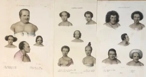 K.J. Brodtmann / L.A. de Sainson - Tomga Tabu Australia, New Zealand - Picture 1 of 8