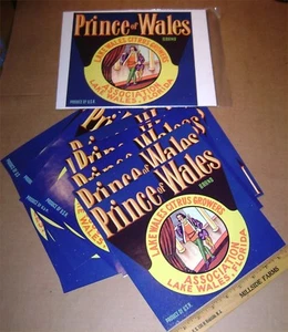 Lot of 14 VINTAGE Unused PRINCE of WALES CRATE LABELS - 8 1/2" x 9" - Picture 1 of 2