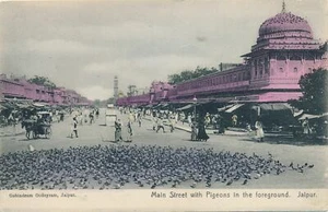 JAIPUR - Main Street with Pigeons in The Foreground - India - Picture 1 of 2