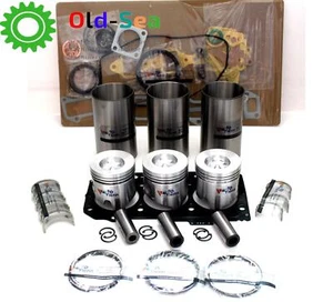 New 3TNV88-DJMA 3TNV88-GJGE Rebuild Kit For Yanmar 3016D Generator F1565 Mower - Picture 1 of 6