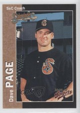 1998 Multi-Ad Sports Tucson Sidewinders David Page #5