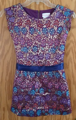Vestido de fiesta elegante American Girl talla y forrado floral talla 7 niñas bordado Foto 1 de 4