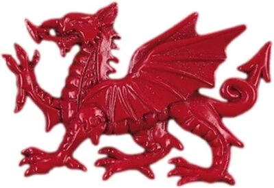 ELGATE Welsh Fridge Magnet Red Dragon Souvenir Gift Wales Resin Handmade Cymru