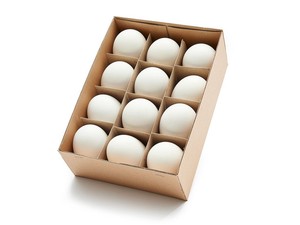 Ganseeier Gunstig Kaufen Ebay