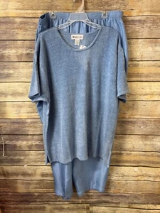 Michael Mims Kathy Cole Chenille Sweater with Silk Pants 2X Blue Short Sleeve - Picture 1 of 7