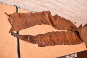 LARGE Genuine Python reticulated Snakeskin Leather real hide snake skin 123" - Picture 1 of 10