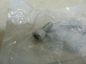Genuine Harley Socket head screw 5/16"-18 x 3/4" P/N: 94332-91T - Imagen 1 de 2