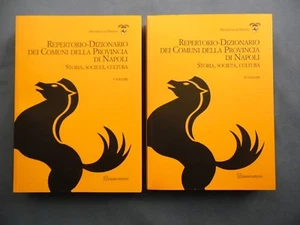 REPERTORIO-DIZIONARIO COMUNI PROVINCIA NAPOLI-STORIA-SOCIETA'-CULTURA-DUE VOLUMI - Picture 1 of 1