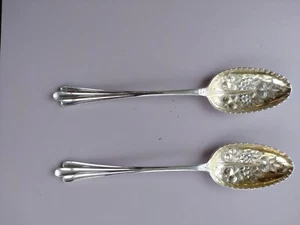 Fruit Spoons - Picture 1 of 6