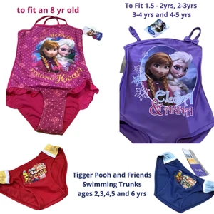 Frozen Anna Elsa Swimming costume Boy Briefs Tigger Pooh Girl Swimwear Disney - Picture 1 of 15