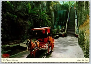 Postcard Bahamas Nassau Queens Staircase 66 Steps Horse Drawn Carriage 1971 - Picture 1 of 2
