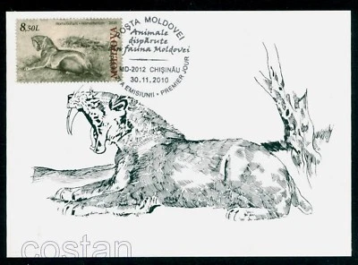 2010 Homotherium,scimitar cat,Prehistoric/extincted animal,Moldova,FDC Maxi card - Image 1 of 2