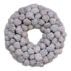 Kranz Dekokranz Türkranz Naturkranz Türschmuck  Pandanus-Früchten 30cm Whitewash - Bild 1 von 7