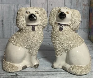 Vintage Old Staffordshire POODLE Pair 4.5" Porcelain Dogs White England Confetti - Bild 1 von 13
