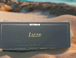 Lizze Extreme Professional 480 F Haarglätter Eisen mit Titanplatten NEU - Bild 1 von 7