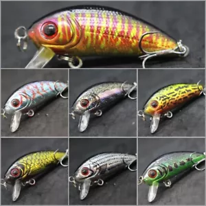 Esche da pesca esca 1 3/4 pollici 1/5 oz affondamento a tenuta stagna Minnow C544 - Foto 1 di 123