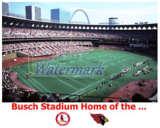 St. Louis Busch Stadium St. Louis Cardinals Color 8 X 10 Photo Picture