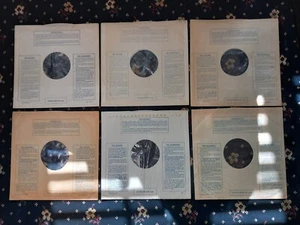 X 1 UK 1960er ORIG 12" STEREO RECORD COMPANY POLY-LINED INN/SLEEVE/S.VG+ - Bild 1 von 2