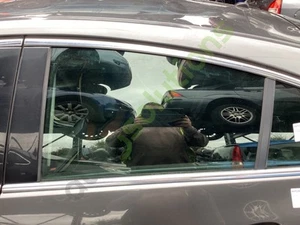 VAUXHALL Insignia A MKI Door Window Rear Left Side - Picture 1 of 7