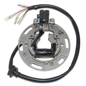 1991 - 2000 Electrosport Kawasaki Kx 80 Stator - Picture 1 of 1