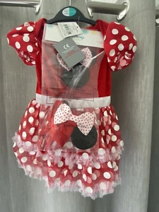 Minnie Mouse Baby Costume Age 12-18 months - Picture 1 of 23