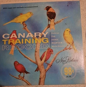 Canary Training Record by New Release - Picture 1 of 5