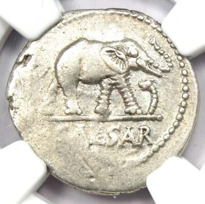 Julius Caesar AR Denarius Silver Elephant Coin 49 BC - Certified NGC Choice VF - Image 1 of 4