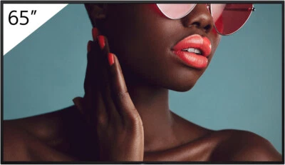 Sony BRAVIA FW-65BZ40L 65" entspiegeltes Business Display mit Dauerbetrieb, - Bild 1 von 4