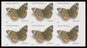 US 4001d Common Buckeye Butterfly 24c pane 6 MNH 2006 - Picture 1 of 1