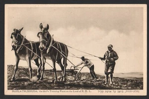 Judaica Palästina alte Postkarte Nahlath-Jehuda, Brüder Eliyahu - Bild 1 von 2