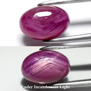 💎 1.82ct 8x5.5mm Oval Cabochon Purplish Red 6 Ray Star Ruby - Heated Africa Gem - Picture 1 of 11
