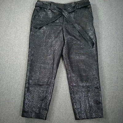 Ann Taylor LOFT Silver Sparkle Tie Belt Cropped Pants Women's 8 Straight Leg - Image 1 of 4