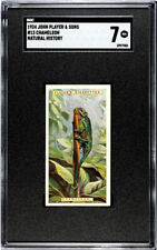 1924 John Player & Sons Chameleon #13 Natural History SGC 7