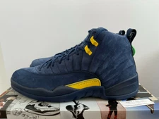 jordan michigan 12s