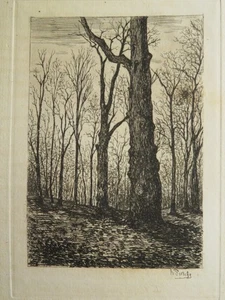 A. PROTCHE (XIX) GRAVURE ORIGINALE FORET SOUS BOIS BARBIZON PARIS à l'EAU FORTE - Imagen 1 de 4