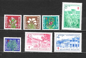 Belgium 1950 Anti-Tuberculosis Fund MH BE126 - Picture 1 of 2